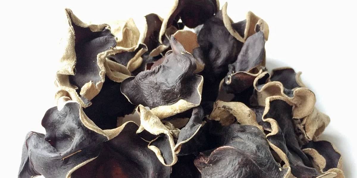 Aneka Jamur Segar